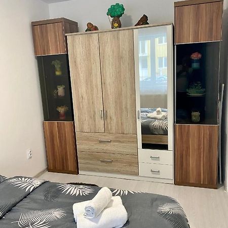 Apartament Irina Brașov Exterior foto