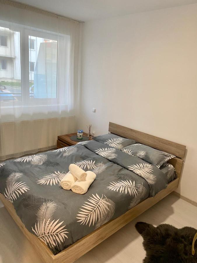 Apartament Irina Brașov Exterior foto
