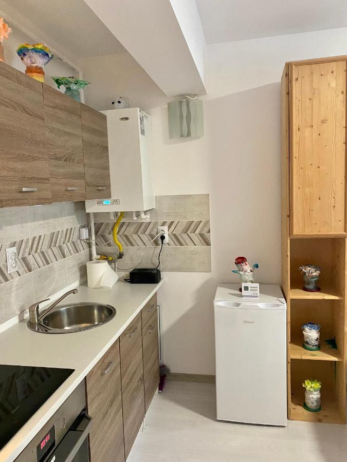 Apartament Irina Brașov Exterior foto